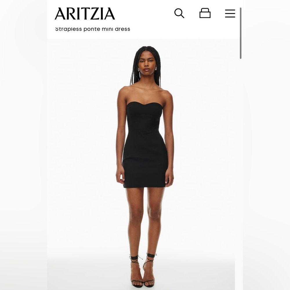 ARITZIA ten mini dress